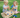 Best Toys for Sibling Sharing That Truly Last